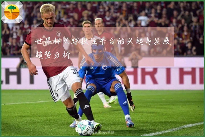世界杯买球投注平台的兴起与发展趋势分析