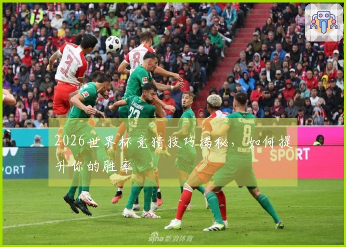 2026世界杯竞猜技巧揭秘，如何提升你的胜率