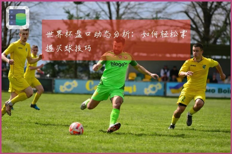 世界杯盘口动态分析：如何轻松掌握买球技巧
