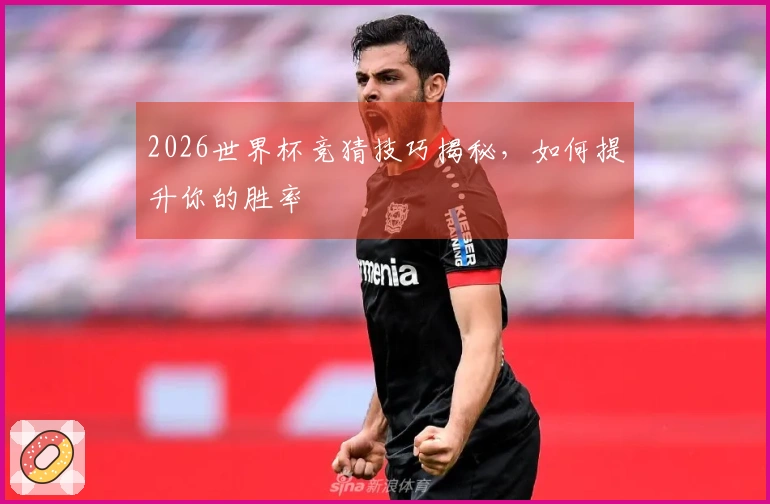 2026世界杯竞猜技巧揭秘，如何提升你的胜率
