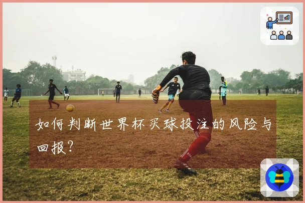 如何判断世界杯买球投注的风险与回报？