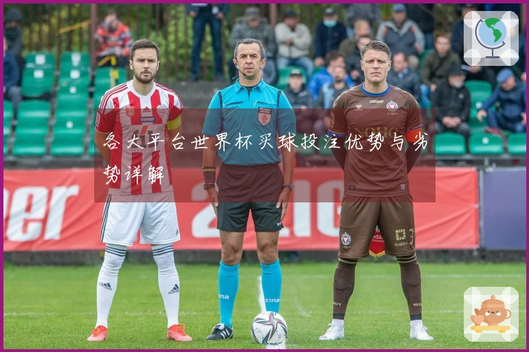 各大平台世界杯买球投注优势与劣势详解