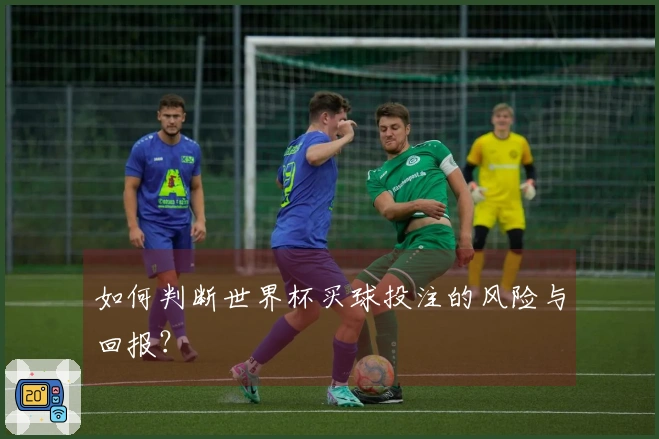 如何判断世界杯买球投注的风险与回报？