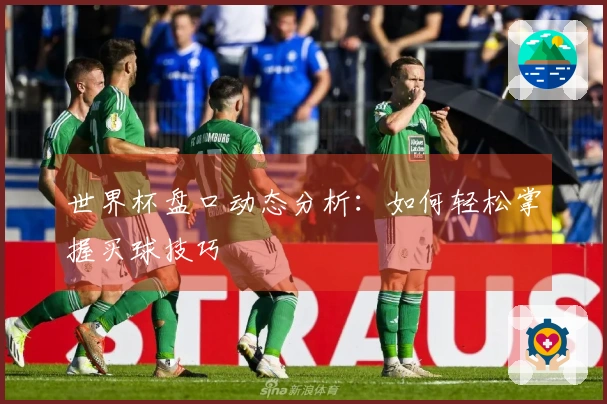 世界杯盘口动态分析：如何轻松掌握买球技巧