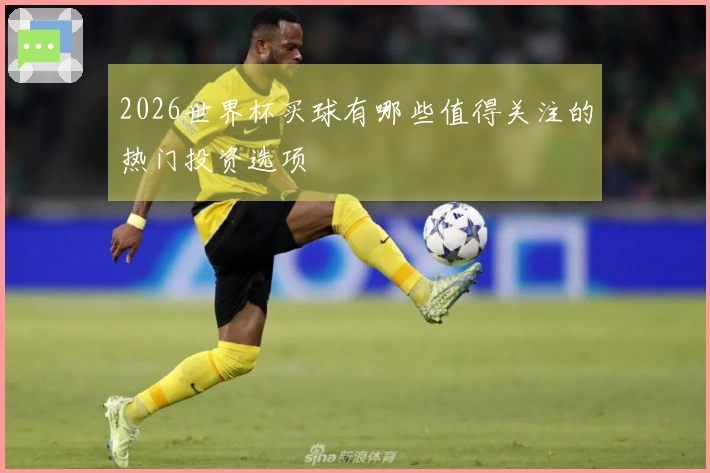 2026世界杯买球有哪些值得关注的热门投资选项