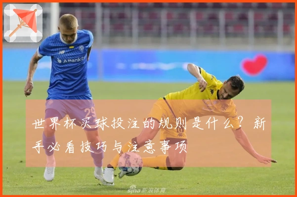 世界杯买球投注的规则是什么？新手必看技巧与注意事项