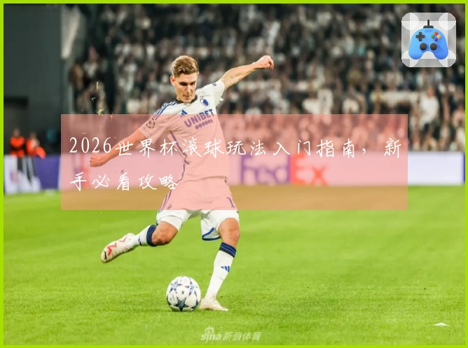 2026世界杯滚球玩法入门指南，新手必看攻略