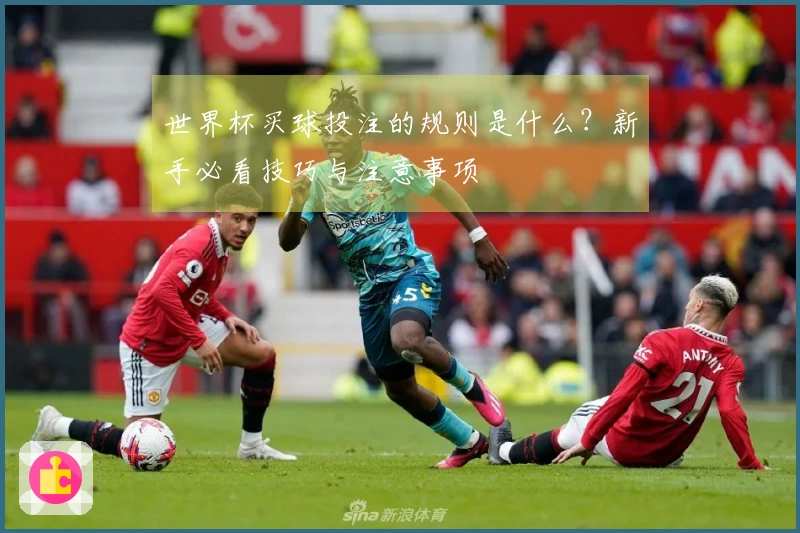 世界杯买球投注的规则是什么？新手必看技巧与注意事项