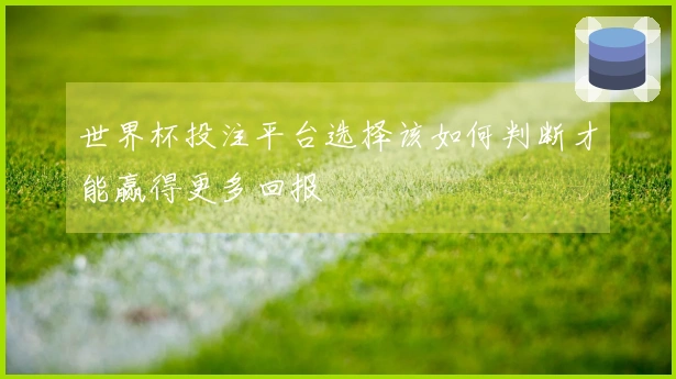 世界杯投注平台选择该如何判断才能赢得更多回报