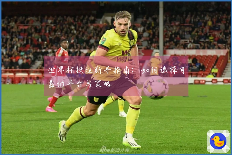 世界杯投注新手指南：如何选择可靠的平台与策略